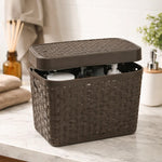X3caja Organizadora Canasto Plastico Rattan Con Tapa 23x31cm