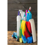 Balde Plastico Con Manilla Resistente Y Practico 10 Litros Rojo