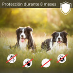 Collar Antipulgas Para Gato Y Perros Repelente Color