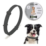 Collar Antipulgas Y Garrapatas Para Perros 65 Cm Repelente