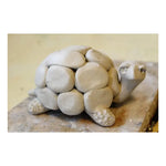 Arcilla Para Modelar Artes Creativas Seca Al Aire 1000 Kg Blanco