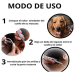 Collar Antipulgas Para Gato Y Perros Repelente Color