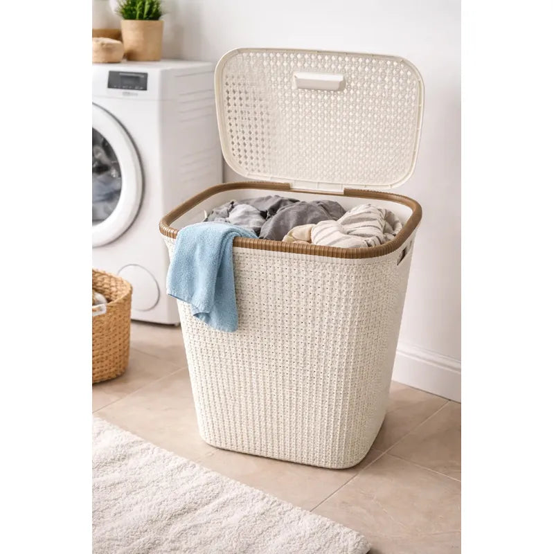 Canasto Rattan De Plastico Para Ropa Sucia Con Tapa Cesto