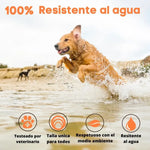 Collar Antipulgas Y Garrapatas Para Perros 65 Cm Repelente