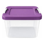 Caja De Plastico Organizadora 14 Litrs Con Broche Vitalplast