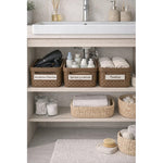 X3caja Organizadora Canasto Plastico Rattan Con Tapa 23x31cm