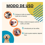 Collar Antipulgas Para Gato Y Perros Repelente Color