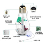 Humidificador Ultrasónico Aromaterapia Filtro Lampara Luz