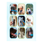 Kit Dental Cream De Higiene Para Perros Limpieza Frescura Vainilla