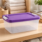 Caja De Plastico Organizadora 14 Litrs Con Broche Vitalplast