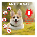 Collar Antipulgas Para Gato Y Perros Repelente Color