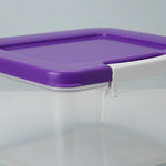 Caja De Plastico Organizadora 14 Litrs Con Broche Vitalplast