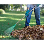 Rastrillo Para Jardin Barre Hojas De 20 Dientes Con Mango Verde
