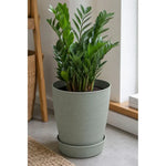 X1 Macetero Mediano Texturizado Con Plato Decoración Hogar Verde Oliva Texturizado