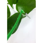 Set X5 Cepillos Interdentales Reutilizables Ortodoncia Verde