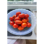 X2 Bowl Ensaladera De Plastico Recipiente Multiuso De 9litro