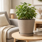 Macetero Grande Texturizado Con Plato Decorativo Para Hogar Biege Oscuro Texturizado