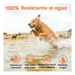 Collar Antipulgas Para Gato Y Perros Repelente Color