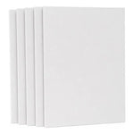 Pack De 5 Carton Entelado Tipo Lienzo De 20x30cm Para Pintar
