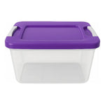 Caja De Plastico Organizadora 14 Litrs Con Broche Vitalplast