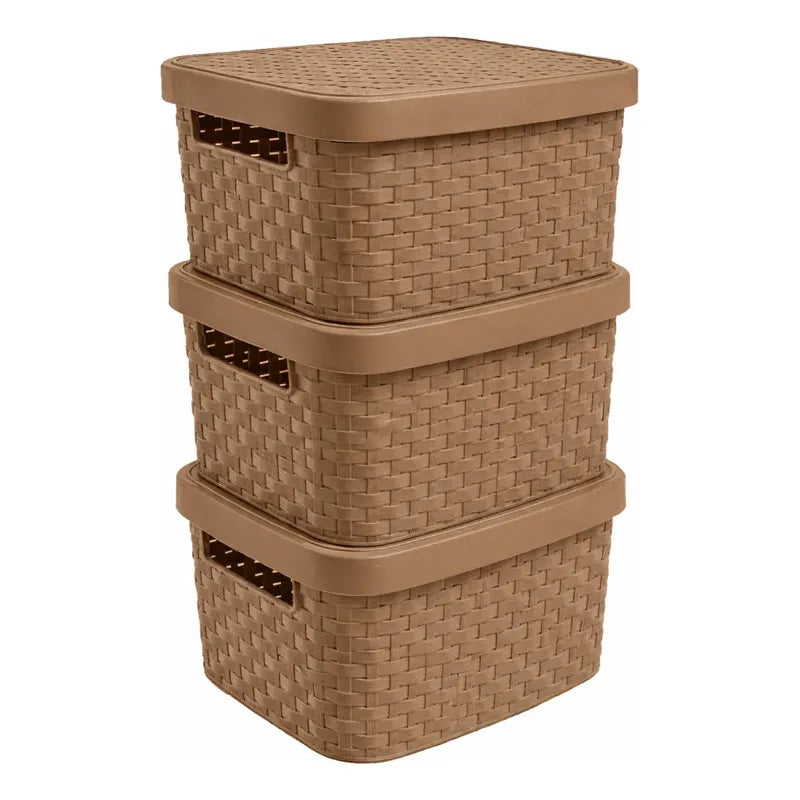 X3caja Organizadora Canasto Plastico Rattan Con Tapa 23x31cm