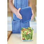 X4 Tapper Fuente Hermetico Plastico Comida Alimentos Frutas Azul