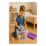 Caja De Plastico Organizadora 14 Litrs Con Broche Vitalplast