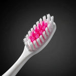 X2cepillo De Diente Higiene Dental Mango Ergonómico Con Tapa Fucsia