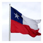Bandera Chilena 90x150 Cm