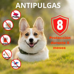 Collar Antipulgas Y Garrapatas Para Perros 65 Cm Repelente