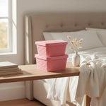 X3caja Organizadora Canasto Plastico Rattan Con Tapa 23x31cm