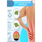 Parches Calmar Dolor Muscular Columna Cuello Cervical 10 Und Columna