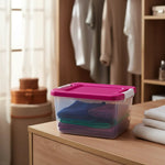 Caja De Plastico Organizadora 14 Litrs Con Broche Vitalplast
