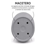 X1 Macetero Pequeño Texturizado Con Plato Decoración Hogar Blanco Texturizado