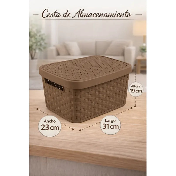 X3caja Organizadora Canasto Plastico Rattan Con Tapa 23x31cm