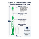 X2cepillo De Diente Higiene Dental Mango Ergonómico Con Tapa Verde